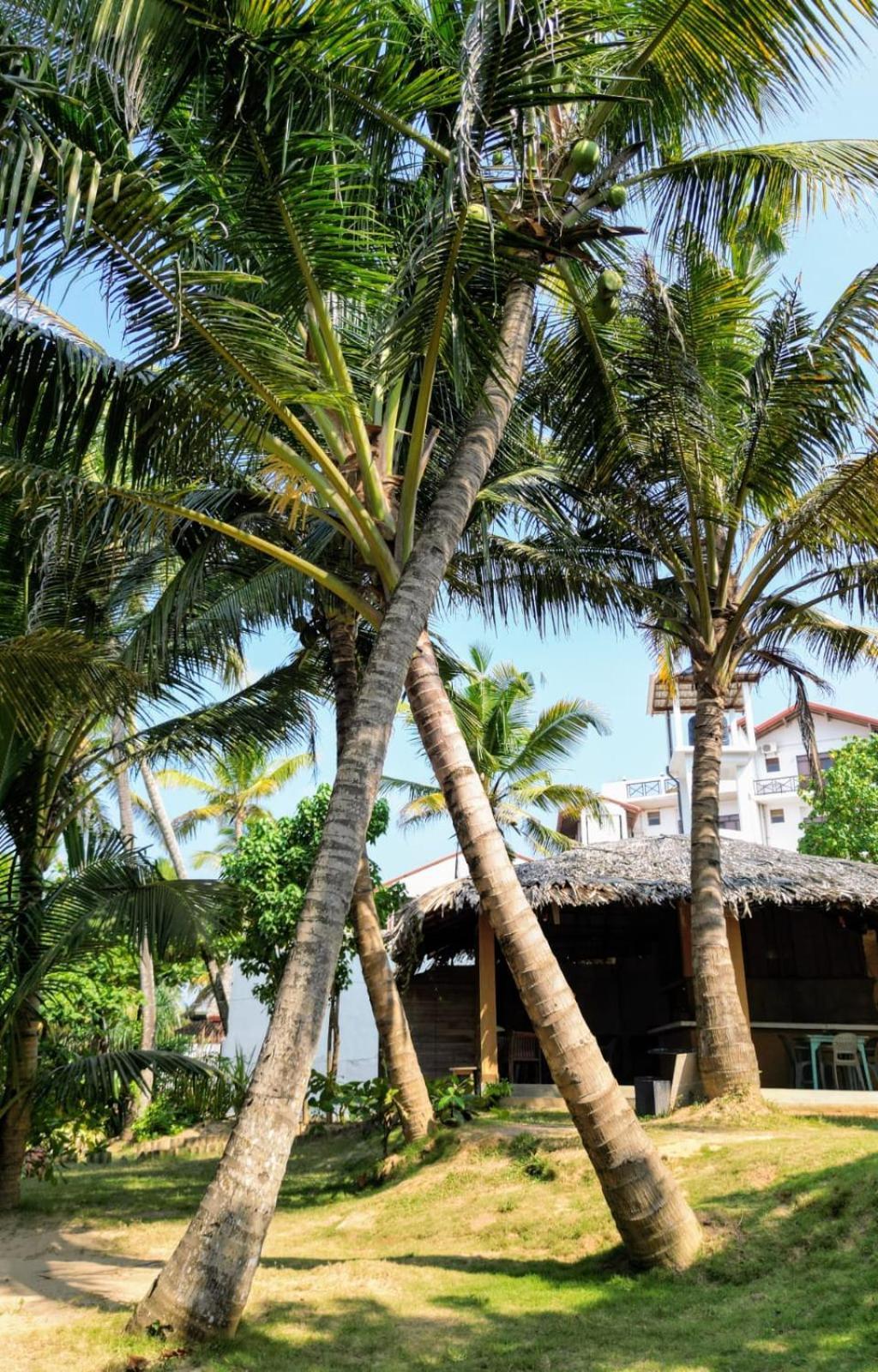 Coco Apartment