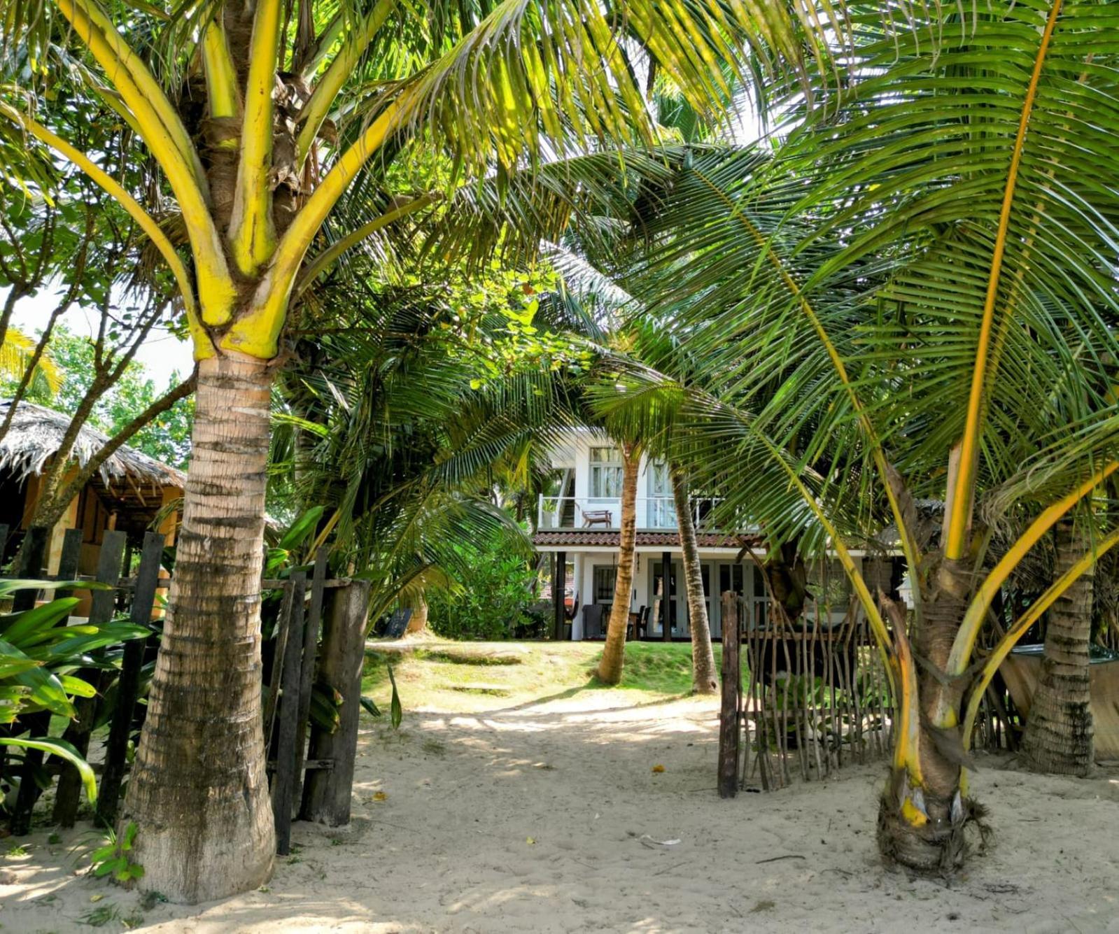 Coco Apartment *